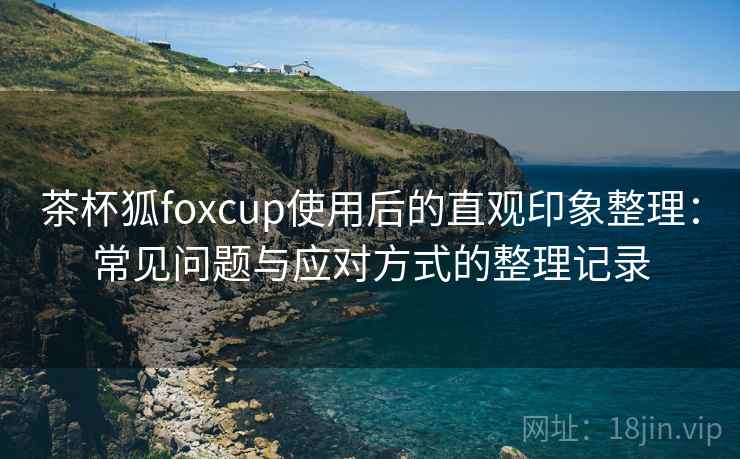 茶杯狐foxcup使用后的直观印象整理：常见问题与应对方式的整理记录