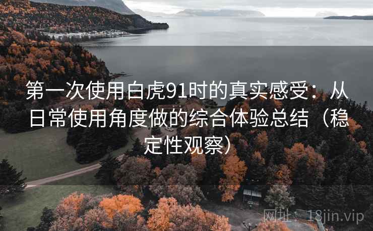 第一次使用白虎91时的真实感受：从日常使用角度做的综合体验总结（稳定性观察）