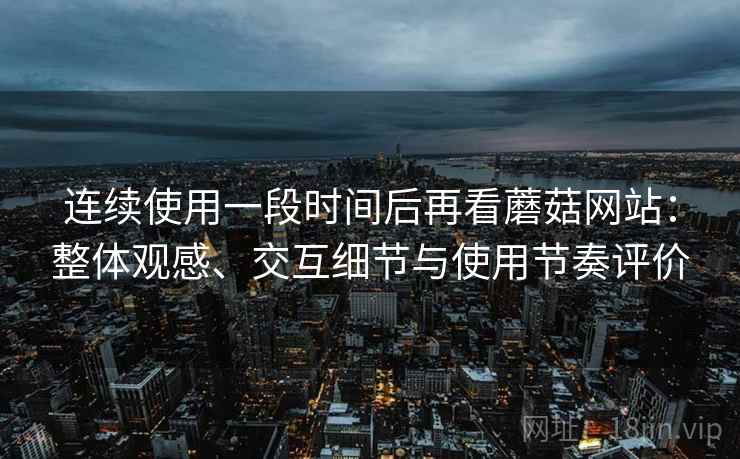 连续使用一段时间后再看蘑菇网站：整体观感、交互细节与使用节奏评价