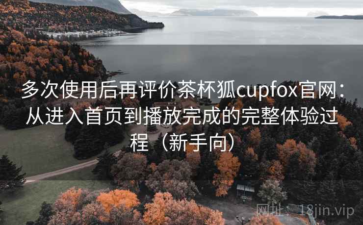 多次使用后再评价茶杯狐cupfox官网：从进入首页到播放完成的完整体验过程（新手向）