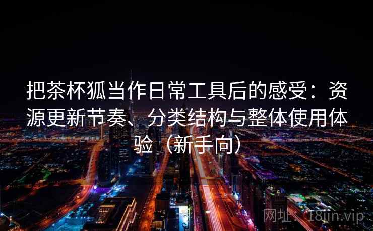 把茶杯狐当作日常工具后的感受：资源更新节奏、分类结构与整体使用体验（新手向）